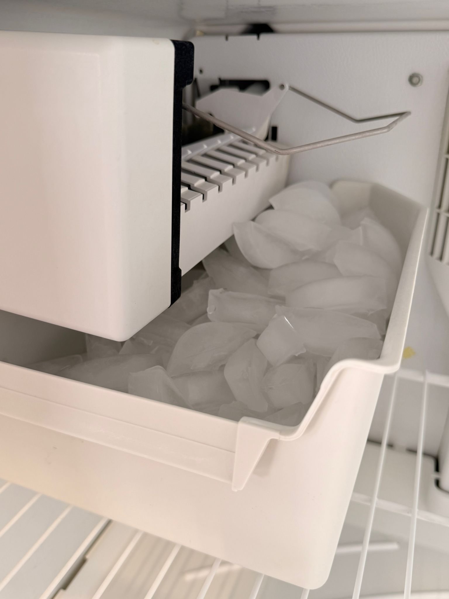 WhatsApp Image 2025-09-10 at 3.50.58 PM (1)