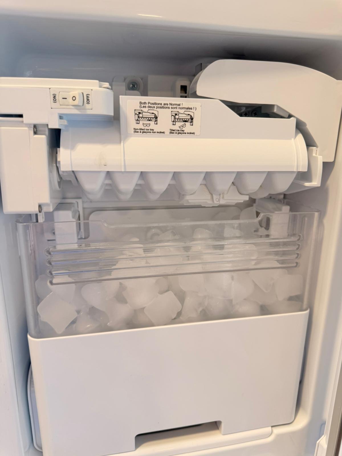 WhatsApp Image 2025-09-25 at 2.57.16 PM (4)