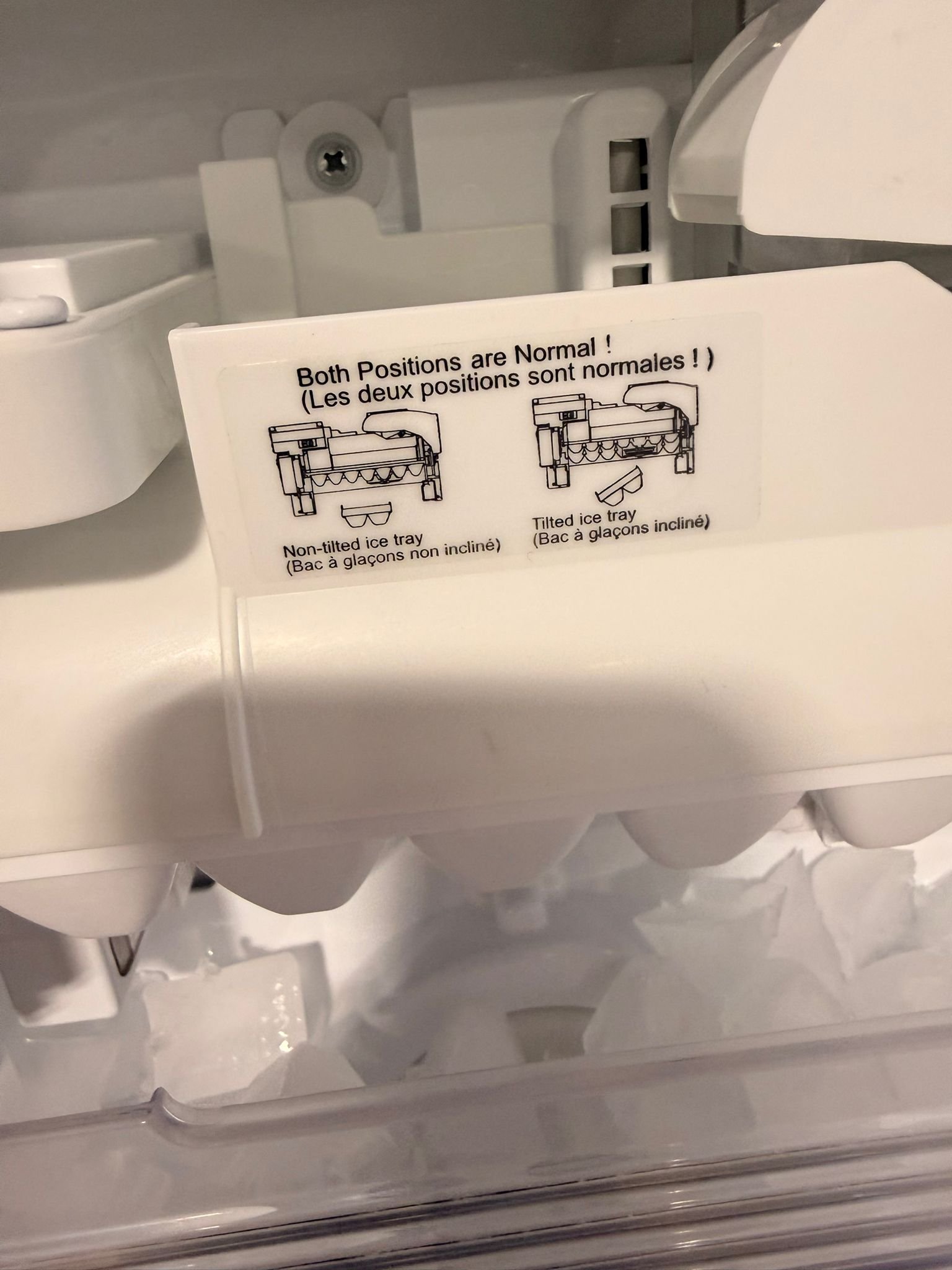 WhatsApp Image 2025-10-21 at 10.08.33 AM (3)